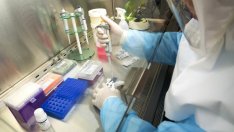 Докъде стигна фармацевтичната индустрия в борбата срещу COVID-19?