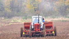 Фермери могат да изразят мнения за ОСП във въпросник за европейската агрополитика