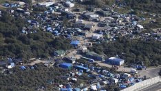 Welcome to the Jungle*