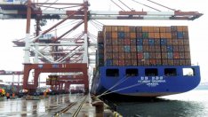 СТО понижи прогнозата си за ръста на световната търговия тази година