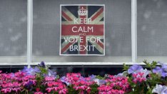 Как 2016 г. може да се окаже полезна?