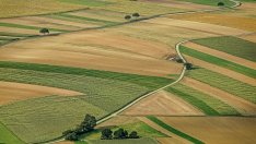 Цените на обработваемата земя в ЕС варират широко, в България са най-евтините пасища
