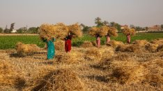 Африка се нуждае от международна помощ, за да избегне загубено десетилетие