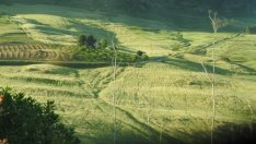 „Адванс Терафонд“ е продал 2130 дка при средна цена 1350 лв./дка