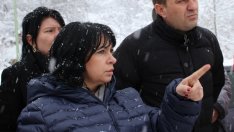 Т. Петкова: Последните обществени поръчки на ГЕРБ са съгласувани с Румен Радев