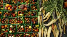 Хранителните продукти на едро поскъпват през изминалата седмица