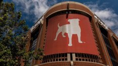 Zynga обяви ново придобиване и разочароващи резултати