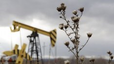 ОПЕК и постоянно покачващата се "честна цена" на петрола