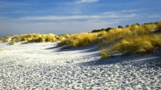 Прокуратурата пак се самосезира заради ограничен достъп до плажове