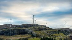 Експерт: Преходът на декарбонизация на енергетиката не изключва нито едно гориво