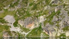 Проекти за над 161 млн. лв. очакват субсидии за опазване на биоразнообразието