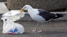 ЕС иска да рециклира по-добре пластмасовите си опаковки