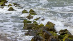 Развиващите се страни се удариха във финансовите скали