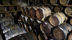 Износът на селскостопански стоки от ЕС към Русия бележи ръст в последните месеци