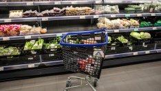 Ритейл парковете движат пазара на търговски площи у нас