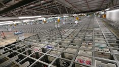 Ocado Group запази годишната си прогноза въпреки пожара