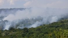  Стелиян Димитров: Страната ни остава особено уязвима към пожари