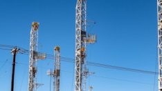 Фючърсите върху американския петрол излязоха на зелена територия*