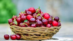 Земеделци искат общини и застрахователи също да плащат за градозащита