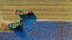 Зърнопроизводителите ще получат държавна помощ, ако докажат загуби
