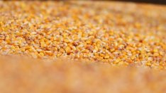 Графика на деня: Войната застрашава световната продоволствена сигурност