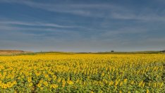 Политическата криза блокира работата по важни закони за агробизнеса