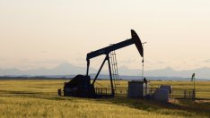 Citigroup: Петролът може да достигне 20 долара за барел