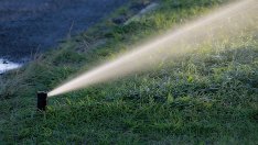 Инвестициите за напояване ще бъдат включени в Програмата за селските райони