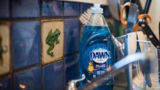 Годишната прогноза на P&G разочарова анализаторите