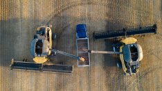 Спадът на цените на пшеницата предвещава ново забавяне на инфлацията при храните в света