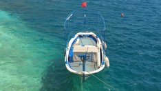 ЕК представи предложенията си за квоти за риболова в Черно море догодина