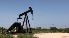 Положителните данни от Китай насърчиха цената на петрола