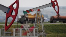 Ще завладеят ли мечките пазара на петрол