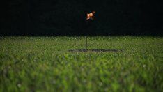 Финансиране на изкопаеми горива – еднопосочен билет към икономически колапс