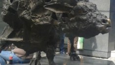 Акциите на Сирма груп холдинг се изстреляха с 13,6% при прехвърлянето на пакет