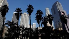 Най-скъпият имот в САЩ отива на търг