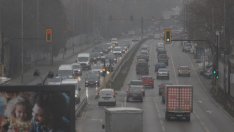 Франс Тимерманс: Човечеството е част от природата