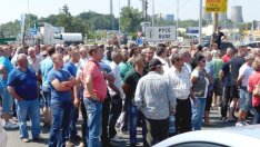 Фермери блокираха русенския Дунав мост заради срива в цените на млякото