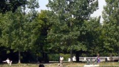 Предлагат автокъща и заведение да напуснат Борисовата градина 