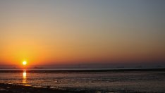 Търговският поток през Суецкия канал е спаднал с 42% за два месеца