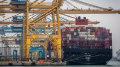 Ефективността в света ще намалее спрямо модела на чиста свободна търговия