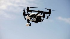 Изкуствените зорки орли над електропроводите