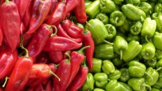 От 2017 г. няма да се заплаща ДДС за дарените храни