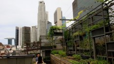 Сингапур превръща свободното пространство в градски ферми