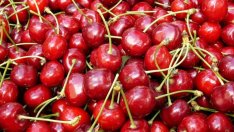 Агенцията за борба с градушките е спасила продукция за 100 млн. лв. тази година