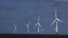 Ниските цени могат да спрат възхода на офшорния вятърен сектор във Великобритания 
