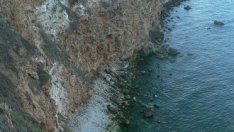 Мидените ферми използват само 15% от териториите, за които имат разрешителни