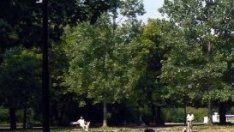 Столична община може да придобие частните имоти в Борисовата градина до 5 години