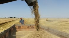 Русия се опитва да заеме първото място в света по износ на пшеница