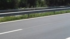 АПИ дава 7,3 млн. лв. за ремонт на второкласни пътища в област Велико Търново